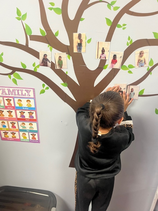 Looking Ahead in Early Learning: A Steady January Week